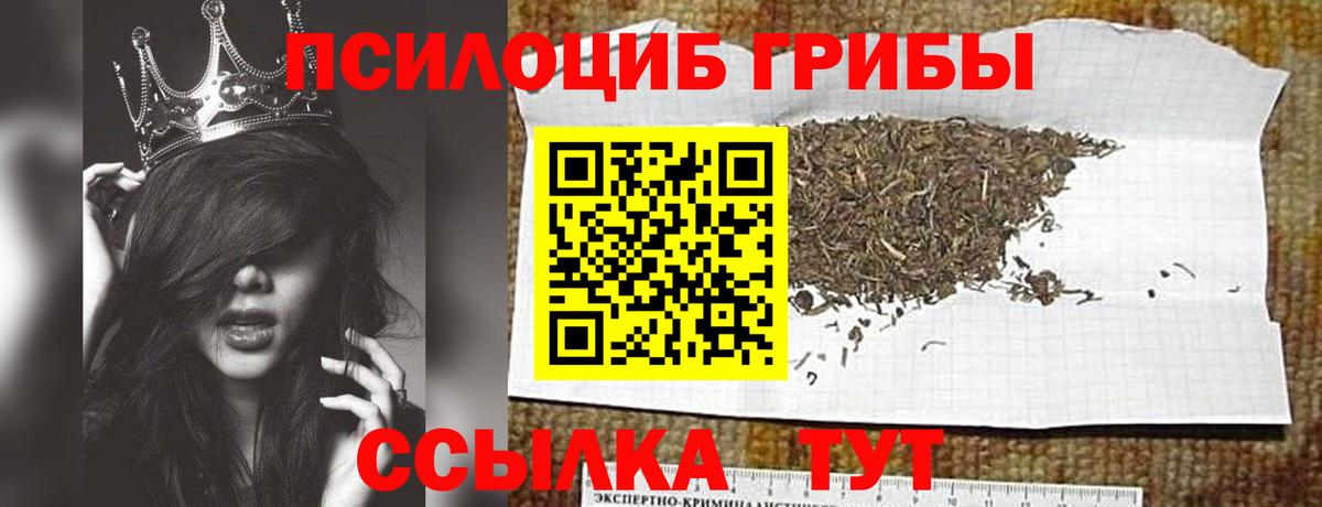 Галлюциногенные грибы Cubensis Кострома